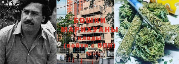 сатива Лабытнанги