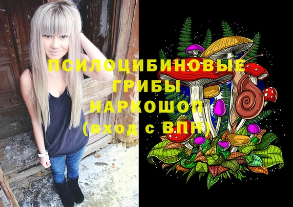 эйфоретик Рославль