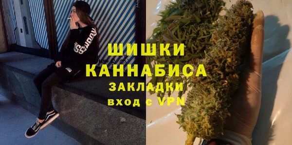 mdpv Краснослободск