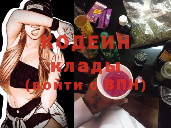 индика Снежногорск