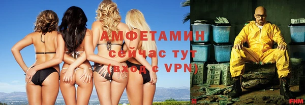 mdpv Краснослободск