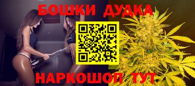 прущие грибы Кингисепп