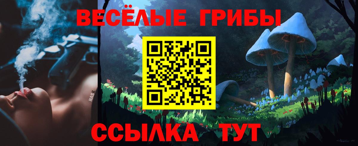 Галлюциногенные грибы прущие грибы  Галлюциногенные грибы мицелий  Самара  Вход с VPN 